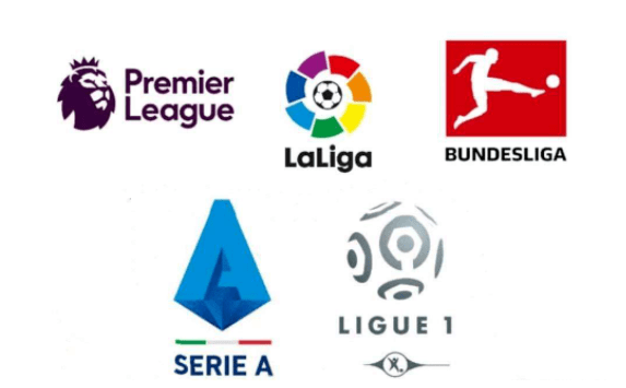 强国际合作 强国际合作